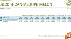 Natural and Delicious Pumpkin Pato Felino Adulto 7.5kg