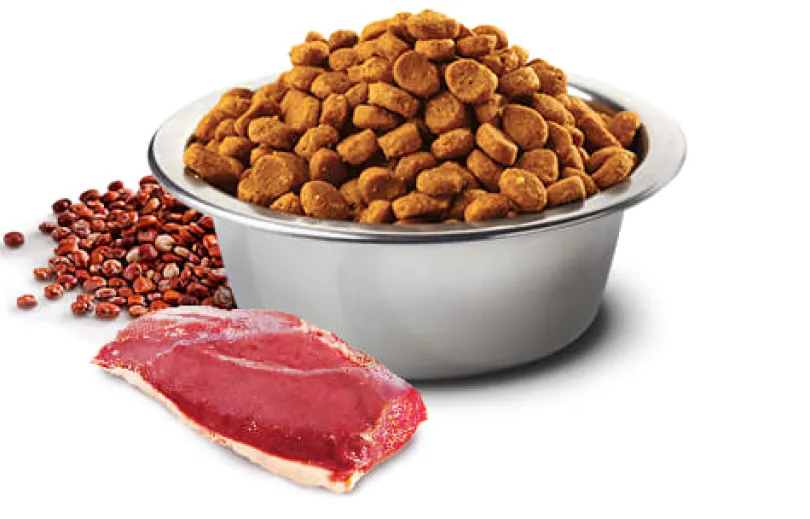 Natural and Delicious Quinoa Skin Coat Pato para Perros 10kg