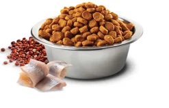 Natural and Delicious Quinoa Skin Coat Arenque para Perros 10kg