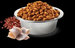 Natural and Delicious Quinoa Feline Skin Coat Arenque 7.5kg
