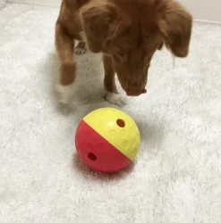 Nina Ottoson Dispensador de Premios Large para Perros