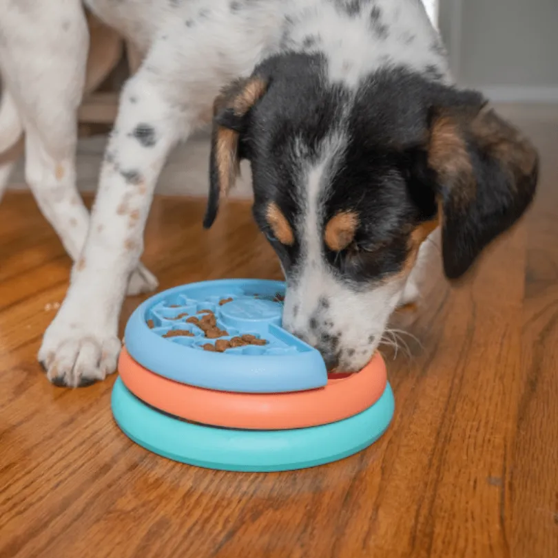 Nina Ottosson Comedero Puppy Lickin Layer