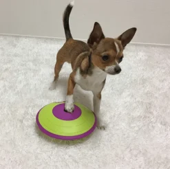 Nina Ottosson Dispensador Maze Nivel 2 Juguete para Perros