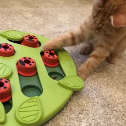 Nina Ottosson Puzzle Buggin Out Nivel 2 Juguete para Gatos
