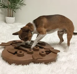 Nina Ottosson Puzzle Hide N Slide Composite Nivel 2 para Perros