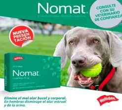 Nomat - Clorofila 75 mg. - 20 comprimidos