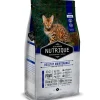 Nutrique Cat Young Adult Maitenance 2kg