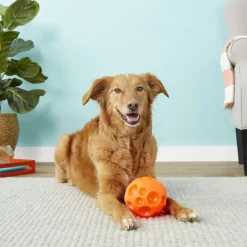 Omega Paw Pelota para Golosinas Medium