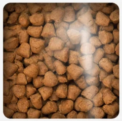 Oven Baked Cat Grain Free Duck 2.27kg
