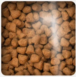 Oven Baked Cat Grain Free Fish 2.27kg