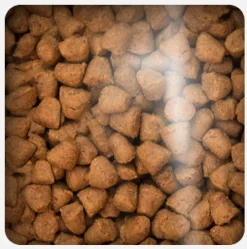 Oven Baked Cat Grain Free Chicken 4.54kg