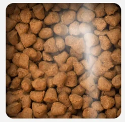 Oven Baked Cat Traditional Senior and Light Chicken 2.27kg