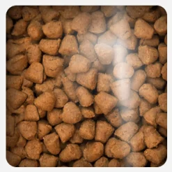 Oven Baked Cat Traditional Adult Chicken 2.27kg