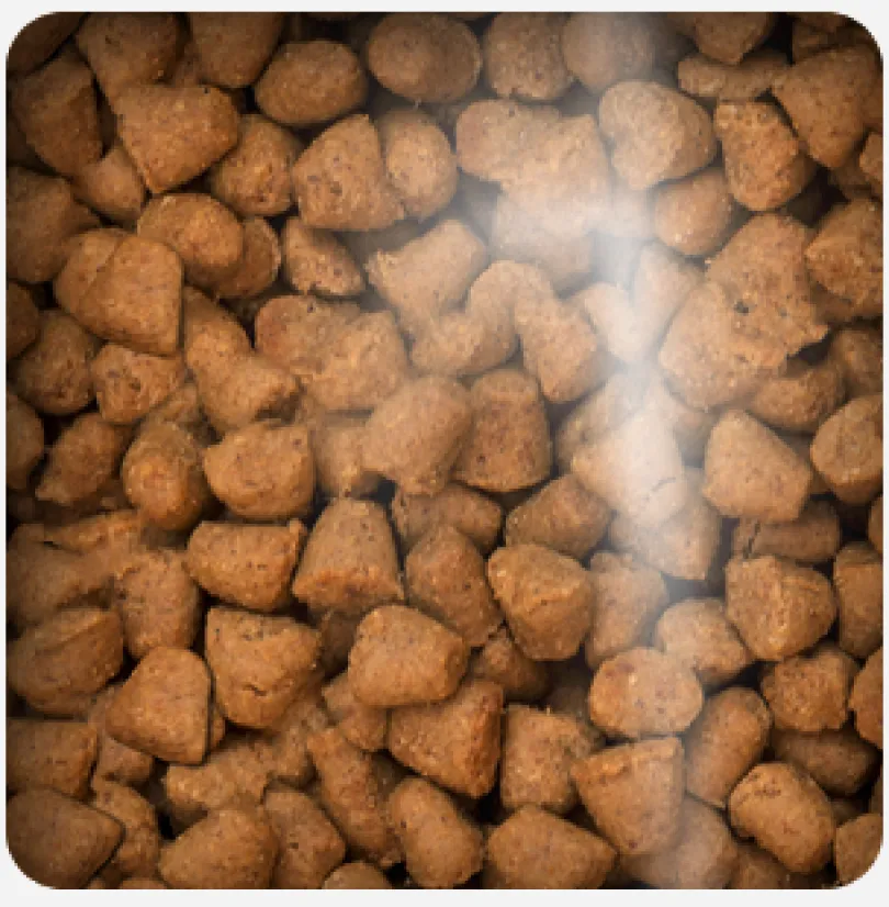 Oven Baked Cat Traditional Kitten Chicken 2.27kg