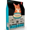 Oven Baked Cat Traditional Adult Fish 4.54kg