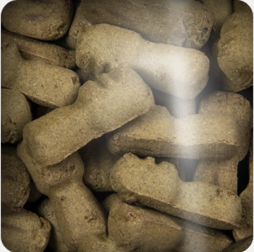 Oven Baked Dog Dental Treats 284gr
