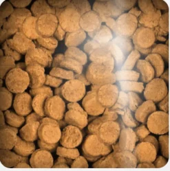 Oven Baked Dog Grain Free Duck Treats 227gr