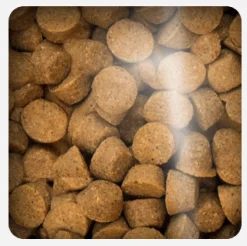 Oven Baked Dog Traditional Adult Fish All Breed 11.34kg
