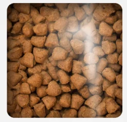 Oven Baked Dog Traditional Adult Fish Small Breed 5.67kg