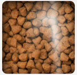 Oven Baked Dog Traditional Chicken Adult Small Breed 2.27kg