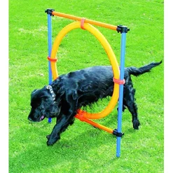 Pawise Agility Aro