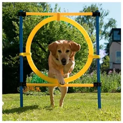 Pawise Agility Aro