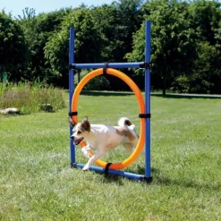Pawise Agility Aro