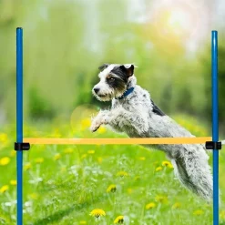 Pawise Agility Valla