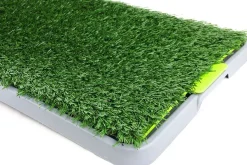 Pawise Pasto Sanitario