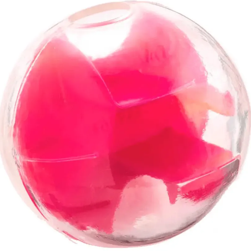 Planet Dog Mazee Rosa