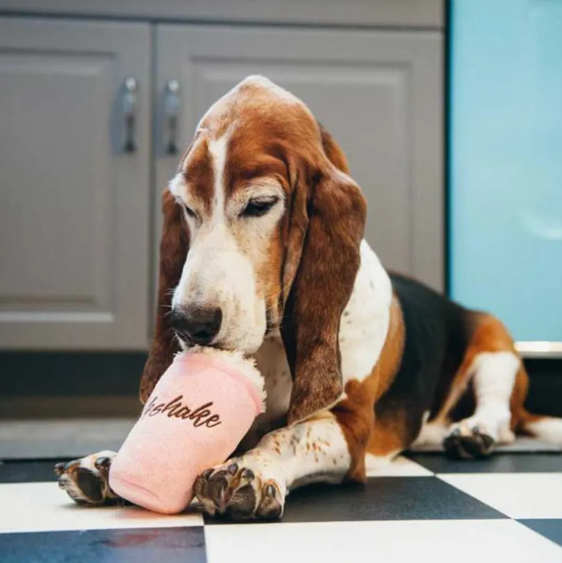 Play Dog American Classic Milkshake