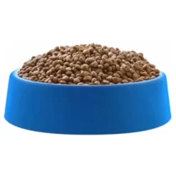 Premier Golden Para Gatitos Sabor Pollo y Arroz 3kg