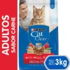 Purina Cat Chow Adultos Carne con Defense Plus 3kg