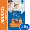 Purina Cat Chow Adultos Delimix con Defense Plus 1kg