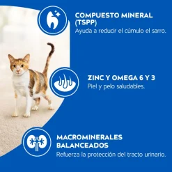Purina Cat Chow Adultos Delimix con Defense Plus 1kg