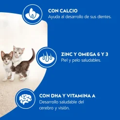 Purina Cat Chow Gatitos 3kg