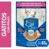 Purina Cat Chow Hydro Gatitos Pollo 85gr