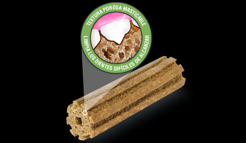 Purina Dentalife Razas Grandes 196gr