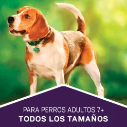 Purina Dog Chow Adultos 7+ Longevidad 18kg