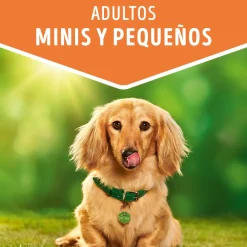 Purina Dog Chow Alimento Húmedo Adulto Razas Pequeñas Salmón 100gr