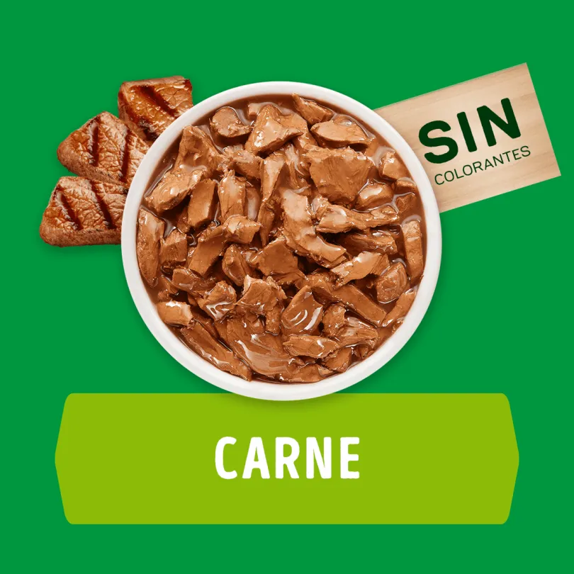 Purina Dog Chow Alimento Húmedo Cachorro Carne 100gr