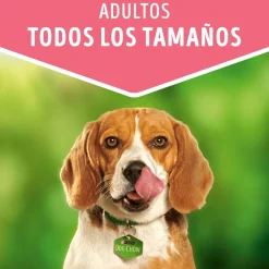 Purina Dog Chow Alimento Húmedo Adulto Pavo 100gr