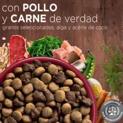 PURINA® ONE® Adulto Mediano y Grande Pollo y Carne 12kg