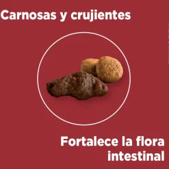 PURINA® ONE® Adulto Mediano y Grande Pollo y Carne 12kg