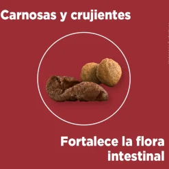 PURINA® ONE® Adulto Mediano y Grande Pollo y Cordero 12kg