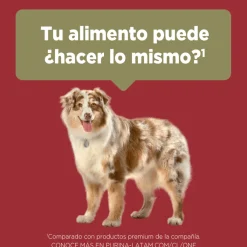 PURINA® ONE® Adulto Mediano y Grande Pollo y Carne 6kg