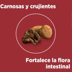 PURINA® ONE® Adulto Mini y Pequeño Pollo y Carne 2kg