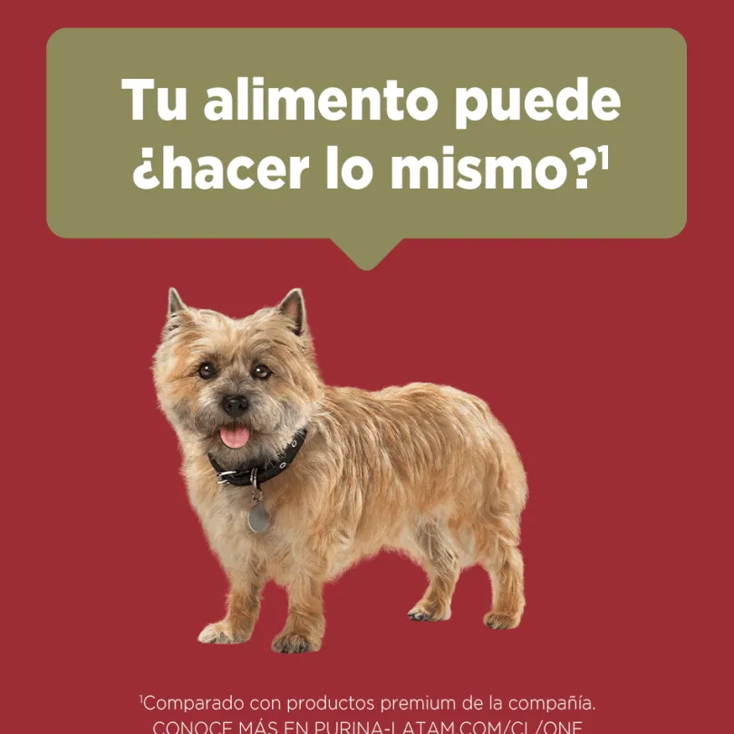 PURINA® ONE® Adulto Mini y Pequeño Pollo y Cordero 2kg