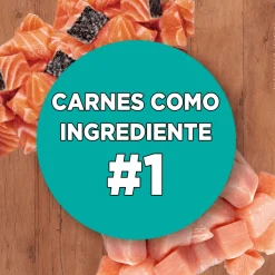 PURINA® ONE® Adulto Pollo y Salmón 2kg