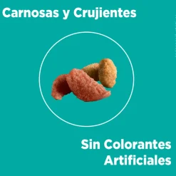 PURINA® ONE® Adulto Pollo y Salmón 2kg